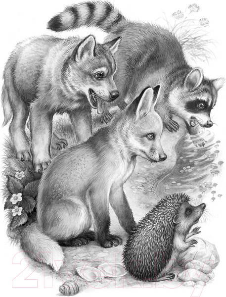 Изображение товара Книга АСТ Мышонок Пик. Рассказы о животных (Бианки В.)