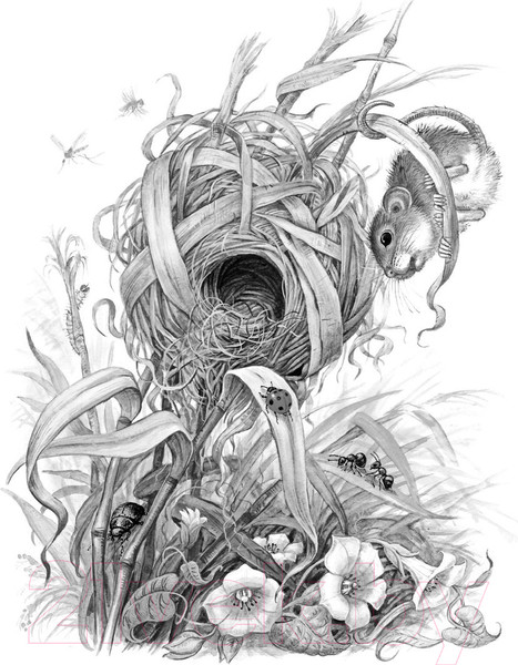 Изображение товара Книга АСТ Мышонок Пик. Рассказы о животных (Бианки В.)