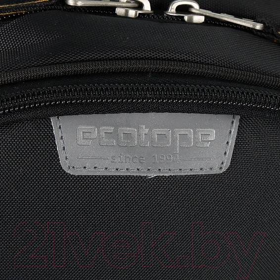 Изображение товара Школьный рюкзак Ecotope Kids Кот 057-22003/1-30-CLR