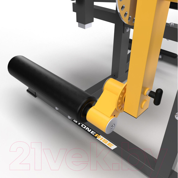 Изображение товара Силовой тренажер Stonerise DJS3001