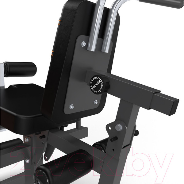 Изображение товара Силовой тренажер Stonerise DJS3001