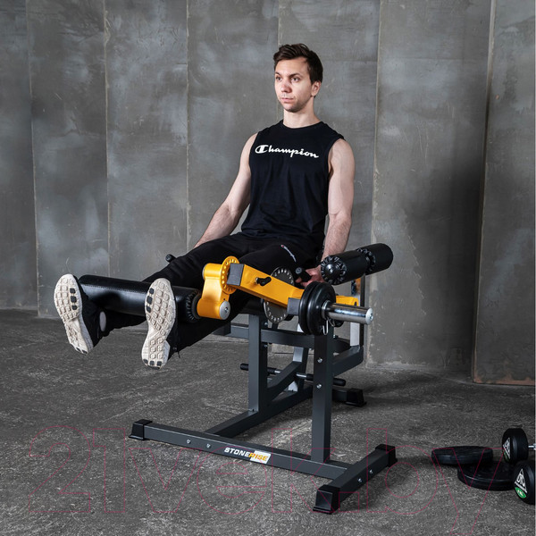 Изображение товара Силовой тренажер Stonerise DJS3001