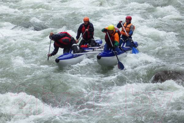 Изображение товара Катамаран Вольный ветер Арктика 520 / 13022 (синий)