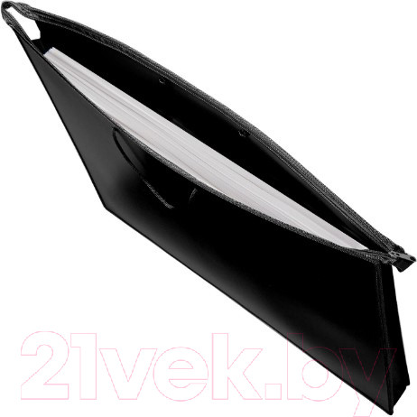 Изображение товара Папка-портфель Пифагор 270873 (черный)