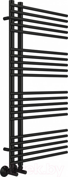 Изображение товара Полотенцесушитель водяной Terminus Астра П20 70x1000 (RAL 9005 матовый)