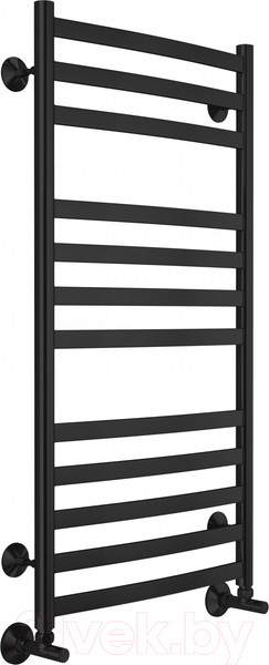 Изображение товара Полотенцесушитель водяной Terminus Авиэль П12 500x1000 (RAL 9005 матовый)