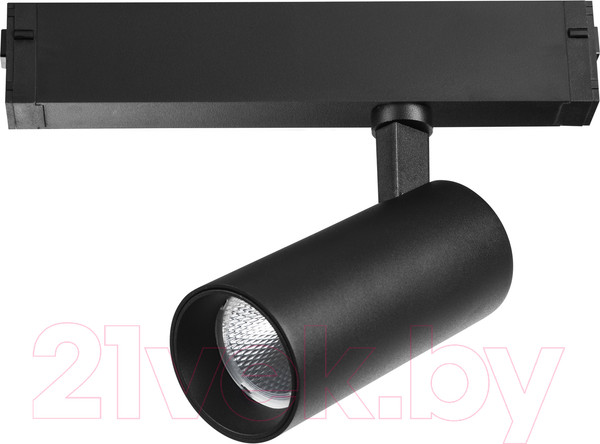 Изображение товара Трековый светильник Lightstar Teta / 205037