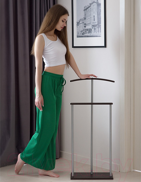 Изображение товара Стойка для одежды Мебелик Костюмная Дэви 1 (металлик/венге)