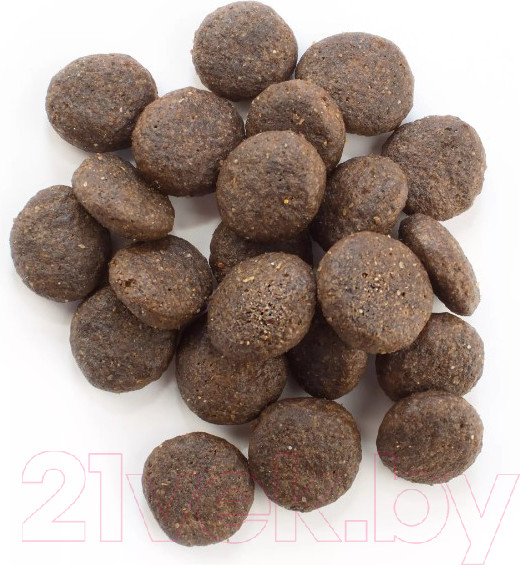 Изображение товара Сухой ветеринарный корм для собак Happy Dog Vet Intestinal Adult 26/13 / 61040 (4кг)