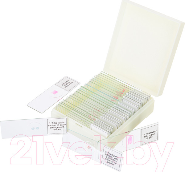 Изображение товара Набор микропрепаратов Levenhuk Discovery Prof DPS 25 / D78415 (биология, птицы)