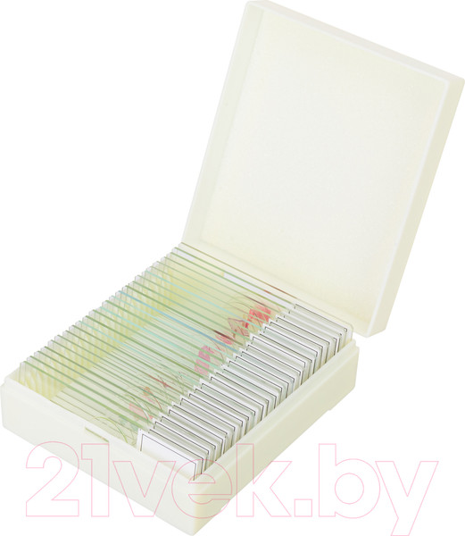 Изображение товара Набор микропрепаратов Levenhuk Discovery Prof DPS 25 / D78415 (биология, птицы)