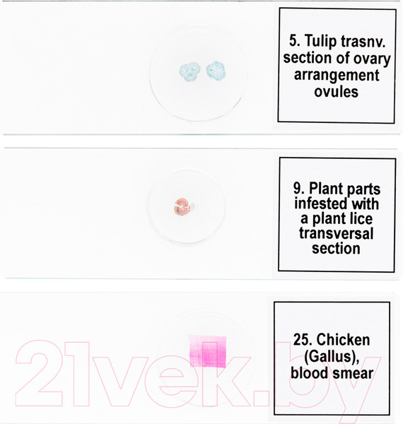 Изображение товара Набор микропрепаратов Levenhuk Discovery Prof DPS 25 / D78415 (биология, птицы)