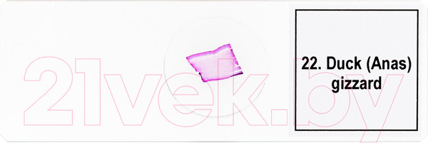 Изображение товара Набор микропрепаратов Levenhuk Discovery Prof DPS 25 / D78415 (биология, птицы)