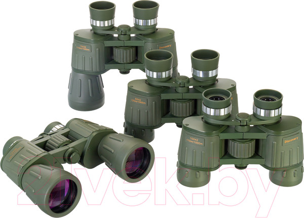 Изображение товара Бинокль Levenhuk Discovery Field 10x42 / D78664