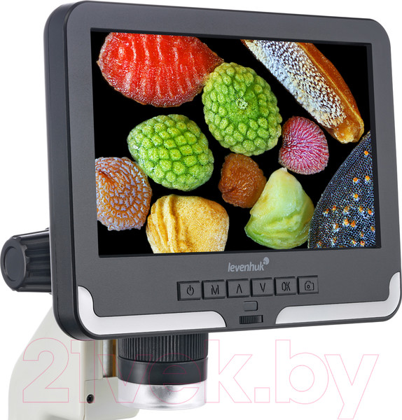 Изображение товара Микроскоп цифровой Levenhuk Rainbow DM700 LCD / D76825 