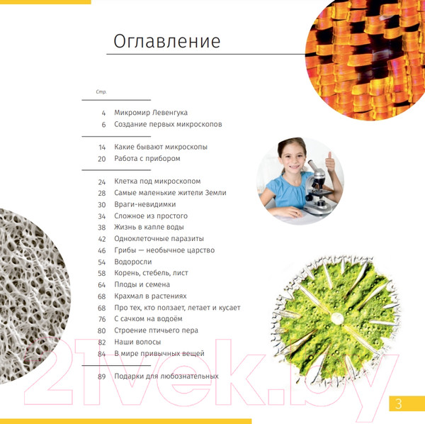 Изображение товара Энциклопедия Levenhuk Невидимый мир / LH77902