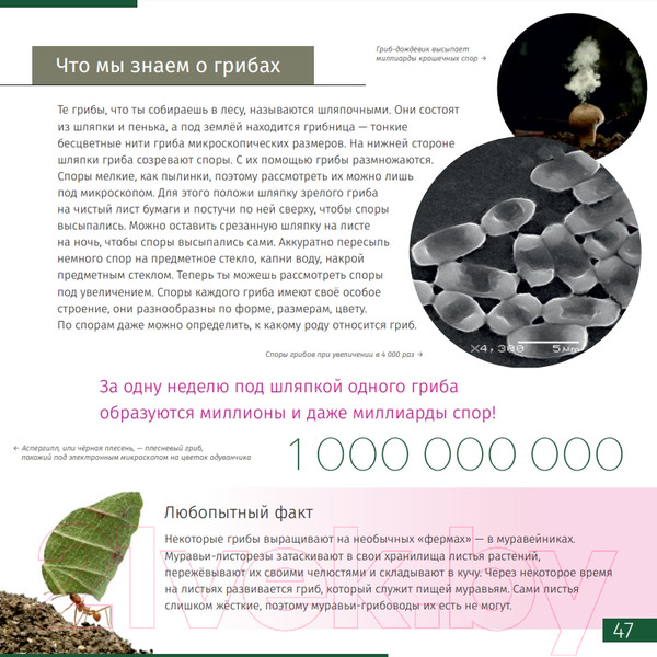 Изображение товара Энциклопедия Levenhuk Невидимый мир / LH77902