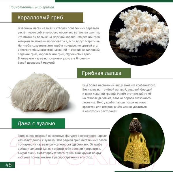 Изображение товара Энциклопедия Levenhuk Невидимый мир / LH77902