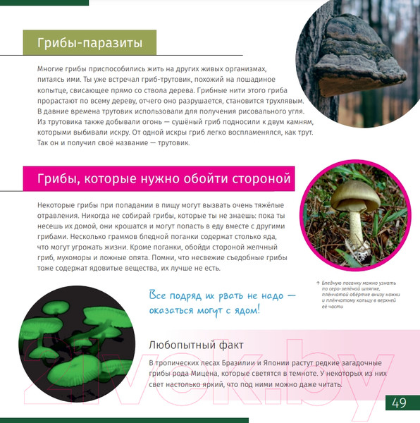 Изображение товара Энциклопедия Levenhuk Невидимый мир / LH77902