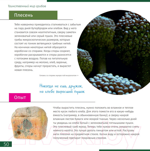 Изображение товара Энциклопедия Levenhuk Невидимый мир / LH77902