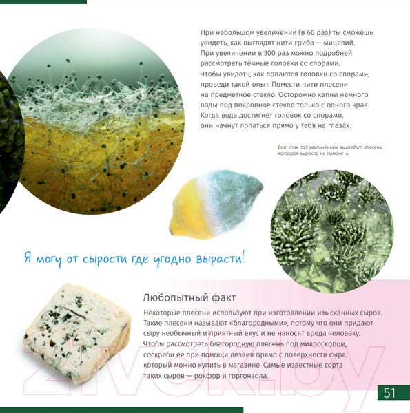 Изображение товара Энциклопедия Levenhuk Невидимый мир / LH77902