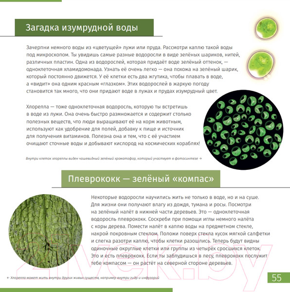 Изображение товара Энциклопедия Levenhuk Невидимый мир / LH77902