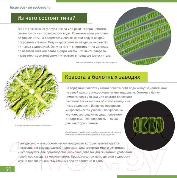 Изображение товара Энциклопедия Levenhuk Невидимый мир / LH77902