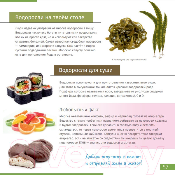 Изображение товара Энциклопедия Levenhuk Невидимый мир / LH77902