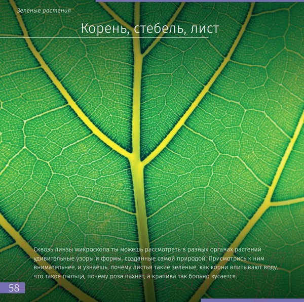 Изображение товара Энциклопедия Levenhuk Невидимый мир / LH77902