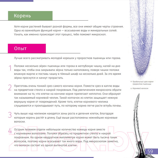 Изображение товара Энциклопедия Levenhuk Невидимый мир / LH77902