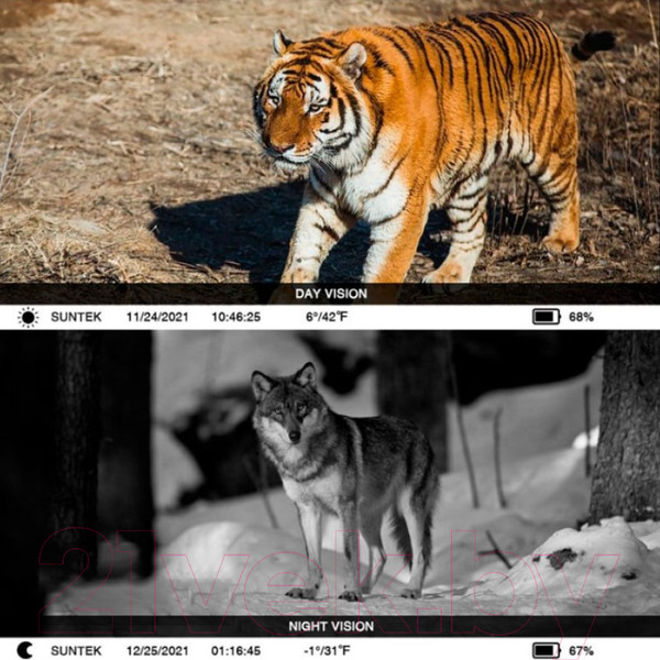 Изображение товара Фотоловушка Suntek HC-910Pro