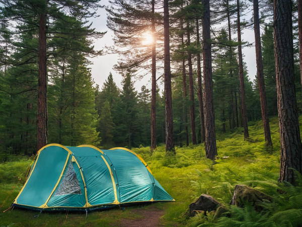 Изображение товара Палатка Coyote Dakota / CL-A08-Green