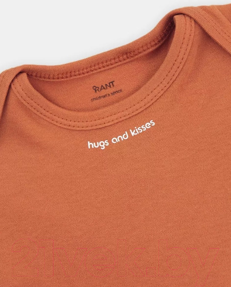 Изображение товара Набор боди для малышей Rant Hugs And Kisses / 62-74 (2шт, Curry Brown, р.74)