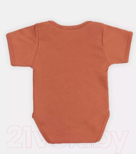 Изображение товара Набор боди для малышей Rant Hugs And Kisses / 62-74 (2шт, Curry Brown, р.74)
