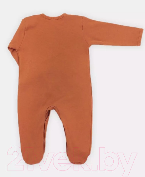 Изображение товара Набор комбинезонов для малышей Rant Hugs And Kisses / 11-68 (2шт, Curry Brown, р.68)