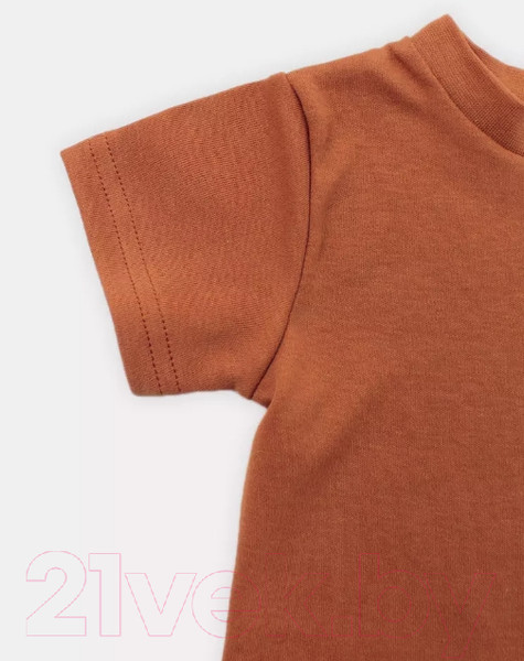 Изображение товара Набор футболок для малышей Rant Hugs And Kisses / 46-68 (2шт, Curry Brown, р.68)