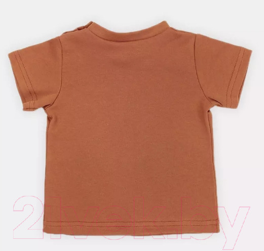 Изображение товара Набор футболок для малышей Rant Hugs And Kisses / 46-74 (2шт, Curry Brown, р.74)