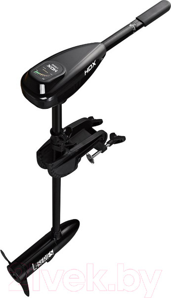 Изображение товара Мотор лодочный HDX 55L