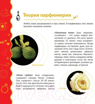 Изображение товара Набор для создания духов Трюки науки Лаборатория парфюма / Z008