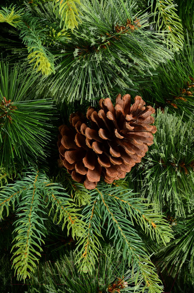 Изображение товара Ель искусственная Erbis Borys cмешанная (2.5м)