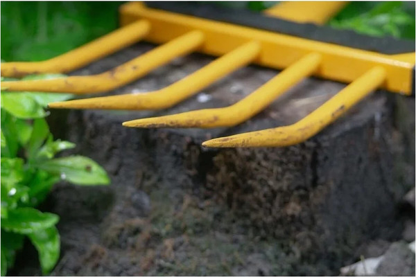 Изображение товара Вилы садовые Tornadica TOR-32VIL-5