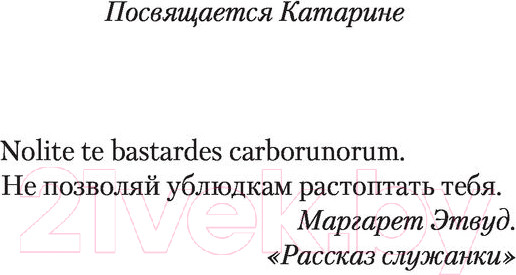 Изображение товара Книга АСТ Охота на тень (Гребе К.)