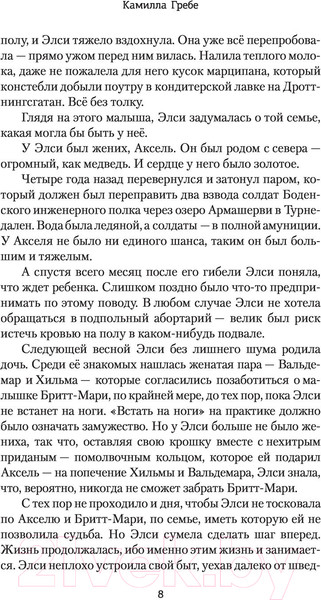 Изображение товара Книга АСТ Охота на тень (Гребе К.)