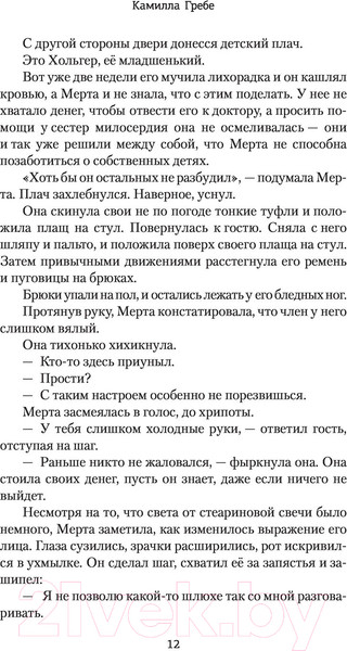 Изображение товара Книга АСТ Охота на тень (Гребе К.)
