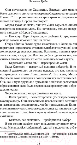Изображение товара Книга АСТ Охота на тень (Гребе К.)