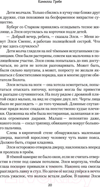 Изображение товара Книга АСТ Охота на тень (Гребе К.)