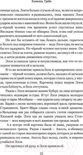Изображение товара Книга АСТ Охота на тень (Гребе К.)