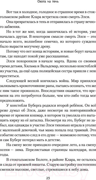 Изображение товара Книга АСТ Охота на тень (Гребе К.)
