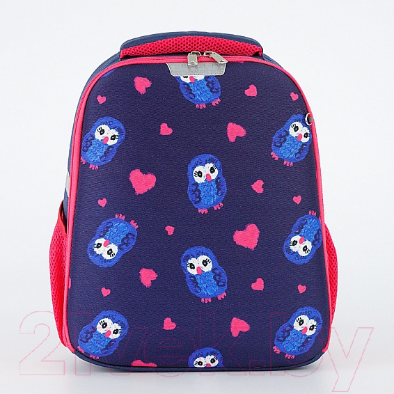 Изображение товара Школьный рюкзак Ecotope Kids Совы 057-595-18-CLR