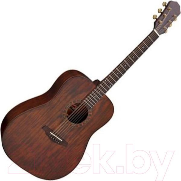 Изображение товара Акустическая гитара Ramis RA-C07
